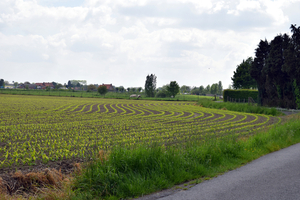 De Stroroute-Roeselare-Zonnebeke-2015