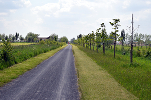 De Stroroute-Roeselare-Zonnebeke-2015