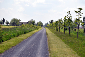 De Stroroute-Roeselare-Zonnebeke-2015