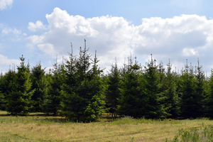 De Stroroute-Roeselare-Zonnebeke-2015