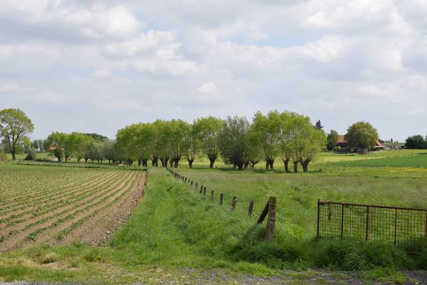 De Stroroute-Roeselare-Zonnebeke-2015