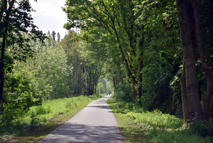 De Stroroute-Roeselare-Zonnebeke-2015