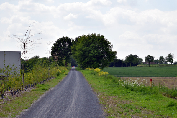 De Stroroute-Roeselare-Zonnebeke-2015