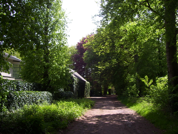 Wandeling langs Befferdreef - 7 mei 2015