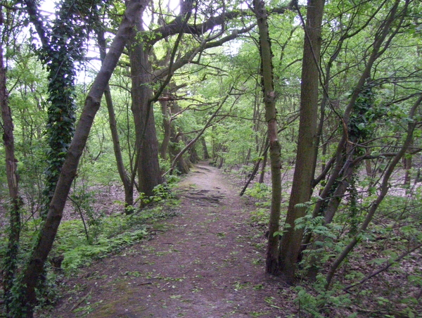 Wandeling langs Befferdreef - 7 mei 2015