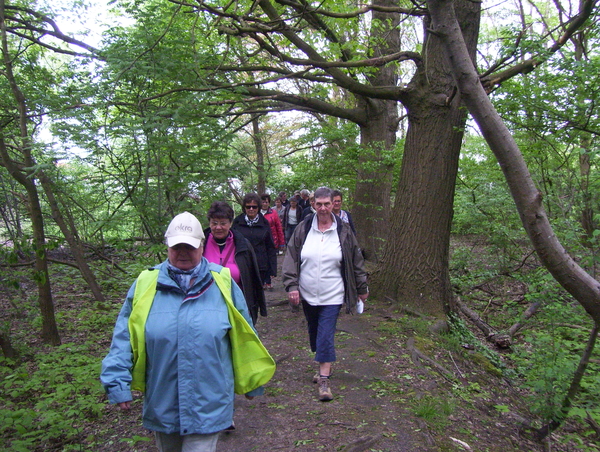 Wandeling langs Befferdreef - 7 mei 2015