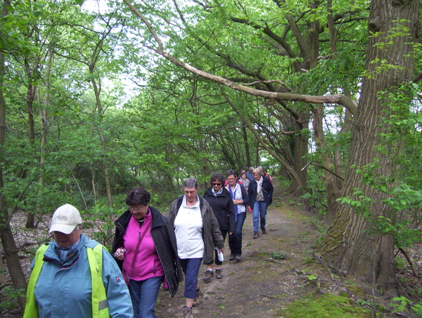 Wandeling langs Befferdreef - 7 mei 2015