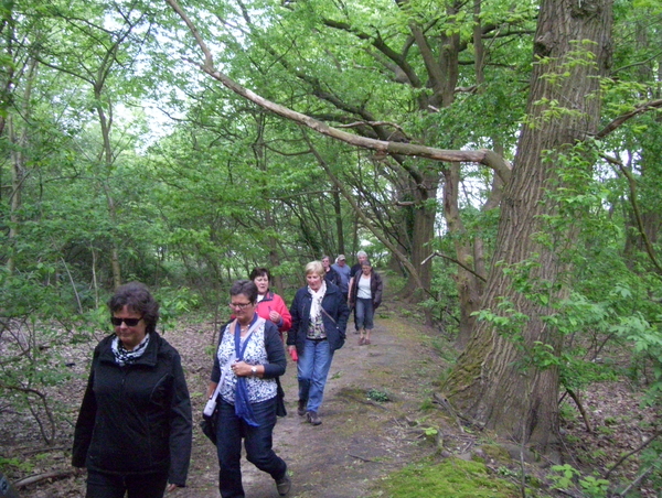 Wandeling langs Befferdreef - 7 mei 2015