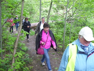 Wandeling langs Befferdreef - 7 mei 2015