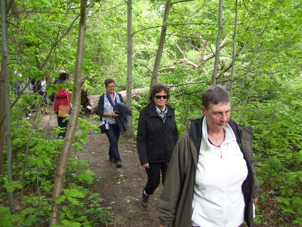 Wandeling langs Befferdreef - 7 mei 2015