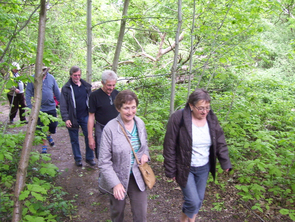 Wandeling langs Befferdreef - 7 mei 2015