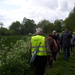 Wandeling langs Befferdreef - 7 mei 2015