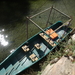 Bark word uit het water genomen