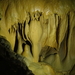 DSC00720