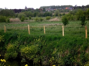 en langs de