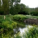 Grote gete