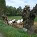keren we ook terug