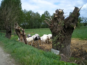 keren we ook terug