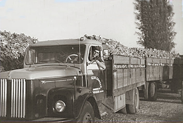 Gebr. Gorter    Chauffeur;  Harry Gorter