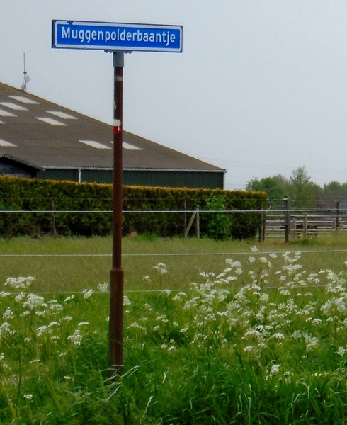 k061_DSC01077_2015_05_09_Arocaan_Steenbergen_Muggenpolderbaantje