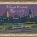 De Moezel   oud kasteel bij nacht