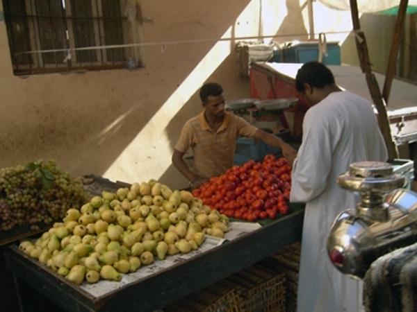 koetsentocht door Luxor