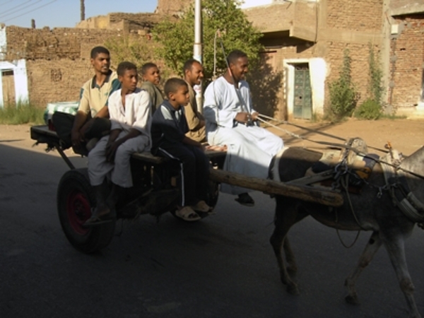 koetsentocht door Luxor