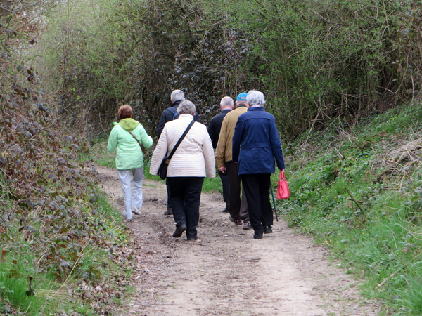 Wandeling nabij 's Gravenvoeren