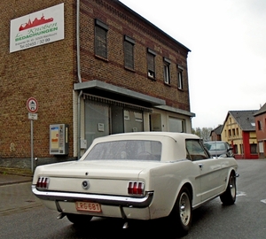 i33_DSC00757_2015_04_26_Lenterit_Lommel_Ford-Mustang_Wald-Feucht