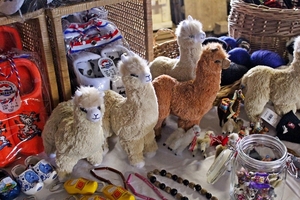 i55_IMG_0555_2015_04_26_Lenterit_Lommel_Sweikhuizen_AlpacaMountai