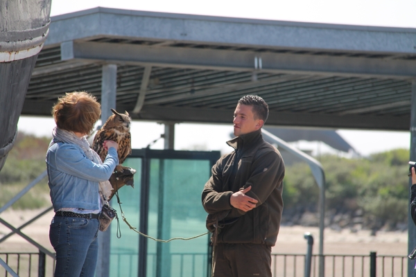 Deltawerken 17 mei 2015 013