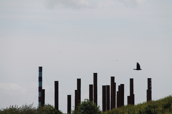 Deltawerken 17 mei 2015 046