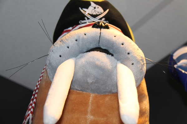 Deltawerken 17 mei 2015 110