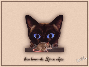 kat-en-muis