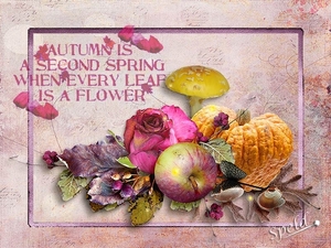 november
