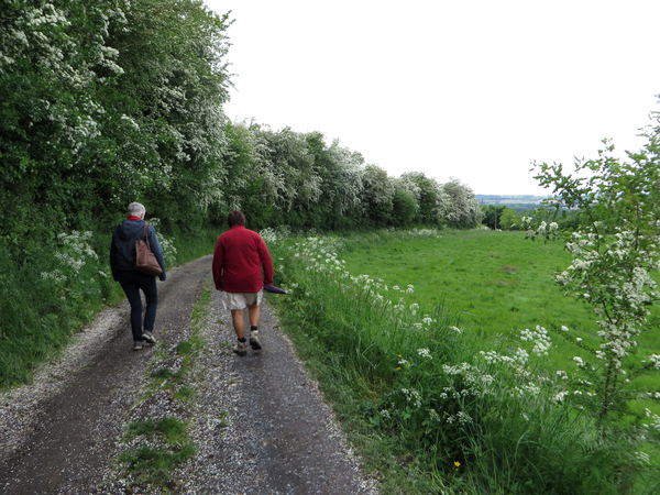 Fluitekruid en meidoorn