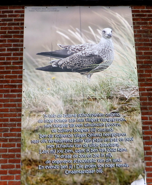 23-