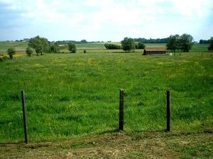 naar Scherpenheuvel