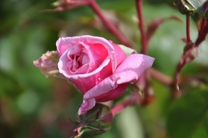 058