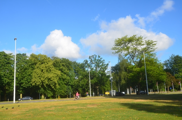 001 BRUGS KRIEBEL PLEZIERTJE !