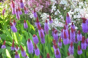 037