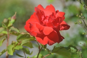 046