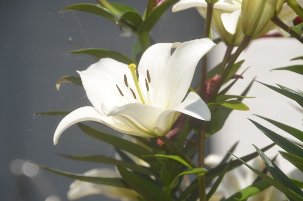 062