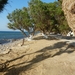 Het strand van Tavronitis