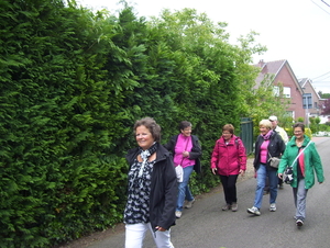 Wandeling tegendraads - 28 mei 2015