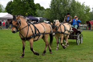 Open Huis-Staden 25 mei 2015