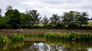 Open Huis-Staden 25 mei 2015