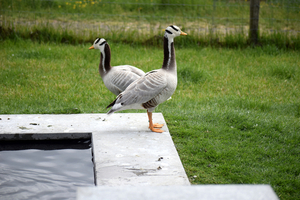 Open Huis-Staden 25 mei 2015