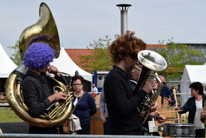 Schone Schaapjes- 2016