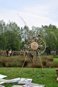 Schone Schaapjes- 2016
